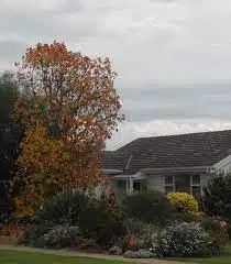Seaton SA​